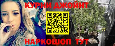 a pvp Рязань