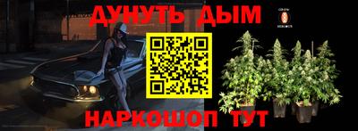 прущие крисы Северобайкальск