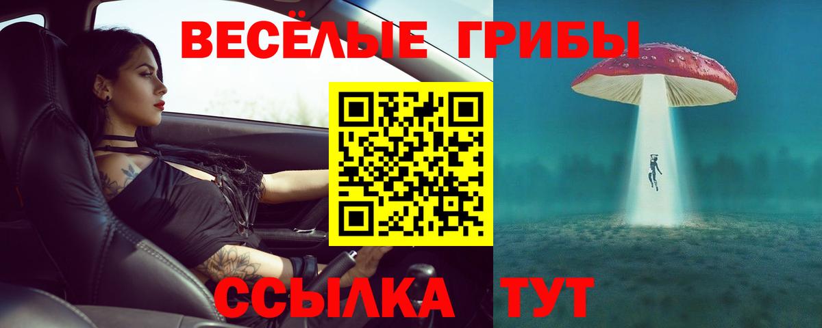 Галлюциногенные грибы GOLDEN TEACHER  Вход с VPN  Обь 